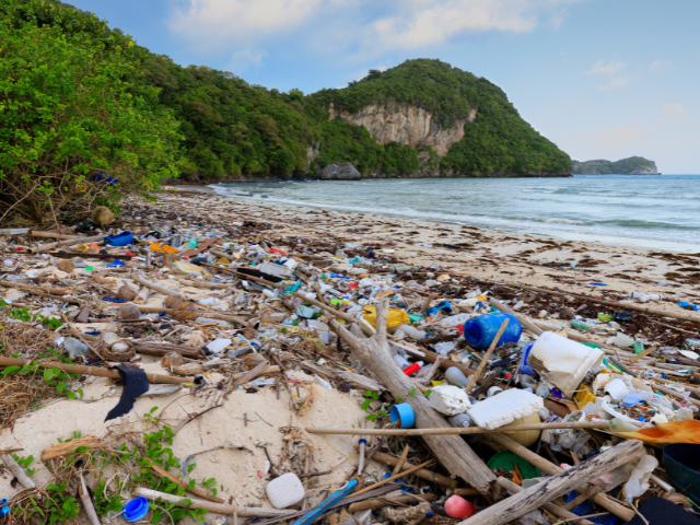 COP 30 - um chamado urgente pelo clima e pelos oceanos ( Foto: divulgação)