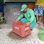 Projeto de compostagem no Poço da Draga inspira ações sustentáveis